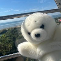 モッモフ (@gachino_chinko) 's Twitter Profile Photo
