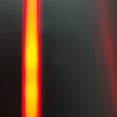 L4556738760341's profile picture. 