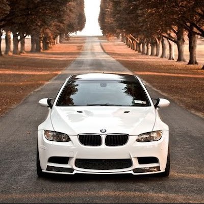 yusufas07317184's profile picture. 