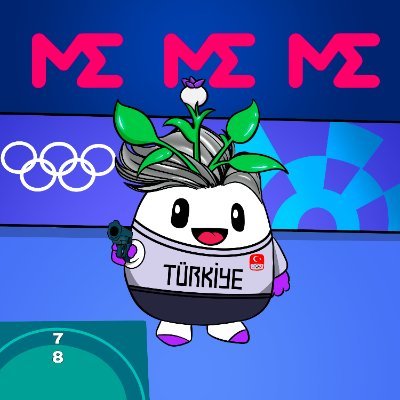 devlopersir's profile picture. 