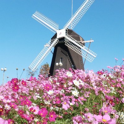 t03021i's profile picture. 海外滞在、映画鑑賞、美術館巡り、自宅でネトフリ・アマプラ・読書✨、たま〜に、ライブ❣️。推し活は全くしてません😆。 スローライフ満喫🧸。