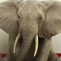 Jumbo (@pumkins24u) 's Twitter Profile