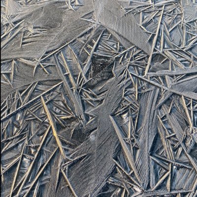 jaana_hannele's profile picture. Ikuinen totuuden etsijä