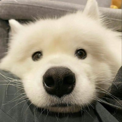 ff ᯓ★さんのプロフィール画像
