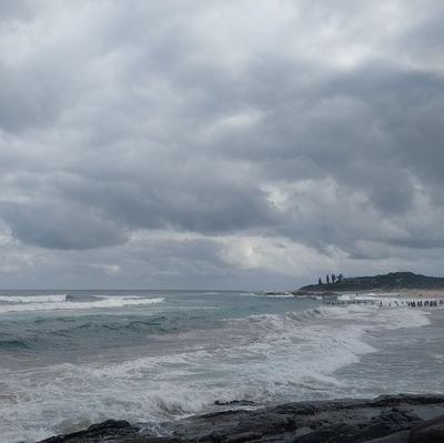 southcoastlust's profile picture. afrikaans 🇿🇦