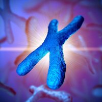 Chromosome (@chromosomesol) 's Twitter Profile Photo Chromosome (@chromosomesol) 's Twitter Profile Photo