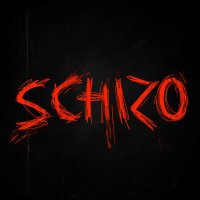 Schizo (@schiz_os) 's Twitter Profile