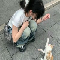 Tammy Nadeau (@qj6jis4z390dc) 's Twitter Profile