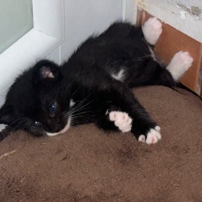 Yesd0t's profile picture. :)