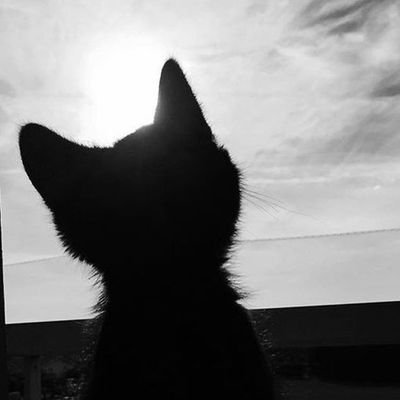 Mutiara663546's profile picture. 