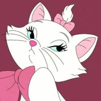 C (@c09m_sw) 's Twitter Profile