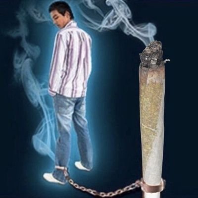 kjlb199's profile picture. 