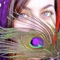 Zufi786ⁱᴾⁱᵃⁿ (@zufi7861) 's Twitter Profile
