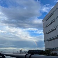 そーす (@sauce_second) 's Twitter Profile