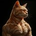 Buffcat (@buffcatofficial) Twitter profile photo Buffcat (@buffcatofficial) Twitter profile photo