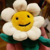 Celosia2🌼Kristi🪴🌿💚 (@celosia2) Twitter profile photo