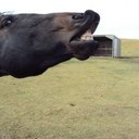 Noel Morris - @nrsmorris - Twitter