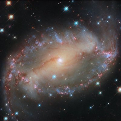 watcherfromwall's profile picture. no dm’s please no porn please no stock/crypto tips please.