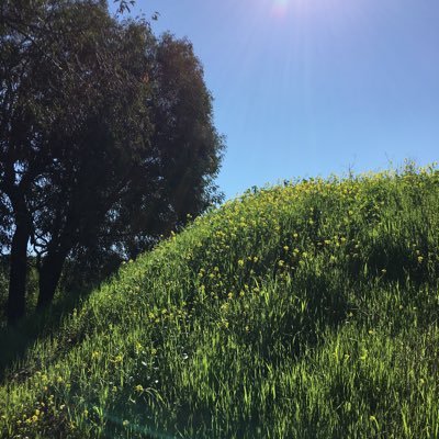 NEWUNEWmoney's profile picture. keep building