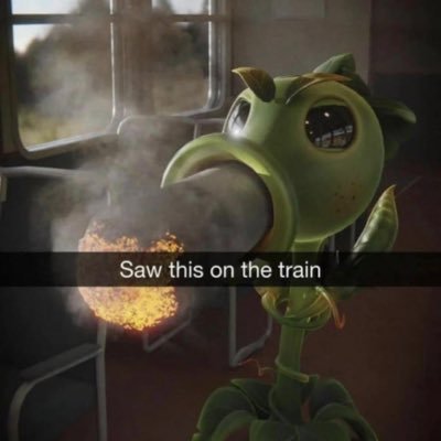 ZootedBrain's profile picture. This account is to archive my thoughts while speaking with penjamin