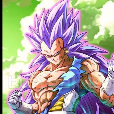 XRP Vegeta Profile