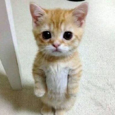 GetachewHa97335's profile picture. addup