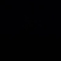 sun_flowerrr (@mmm_3781) 's Twitter Profile