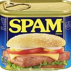 Spam4stan Profile