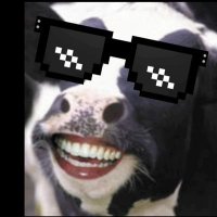 Cult of Moo-wu (@vhs_archive) 's Twitter Profile Photo Cult of Moo-wu (@vhs_archive) 's Twitter Profile Photo