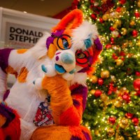 Sherbert! 🍨 (@sherbertpup) 's Twitter Profile Photo