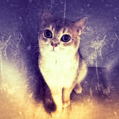 drfiting's profile picture. Harmonics of Logic