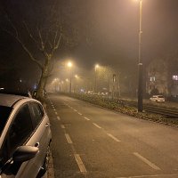 Henri (@capybarahenri) 's Twitter Profile