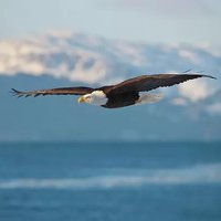 Zneom!! (@awan27535awan) 's Twitter Profile