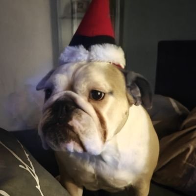 Security geek with lots of hobbies. Trading cryptos for fun