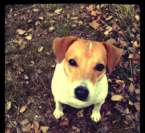 polamr's profile picture. 