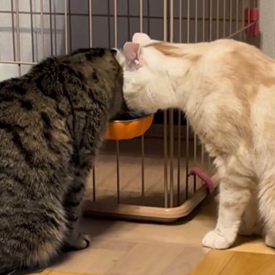 あさきさんのプロフィール画像