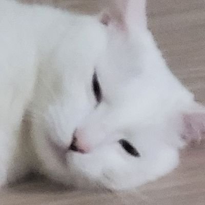 JɆ_Ɽł₵ⱧØさんのプロフィール画像