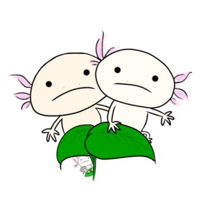 ピプポさんのプロフィール画像