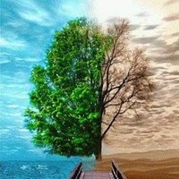 Sıradışı Bilgiler (@bilgibilgi_1) 's Twitter Profile