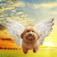 Michael Butterbacks (@butterbacks) 's Twitter Profile