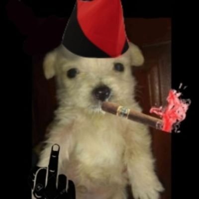 Memes del movimiento libertario. En esta cuenta nos duchamos.
Bloqueados por la Unión Anarcocomunista y por La Excavadora ya no.