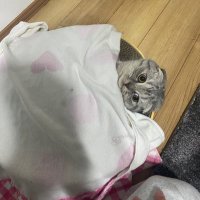 nn (@mmeme059) 's Twitter Profile
