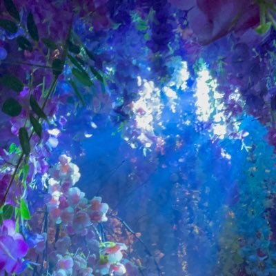 20↑/周辺B済み/雑多交換垢/2j3jお声がけ・公開募集用垢/🩷は検討中/2j3jのみ写真ID🗝️垢のもの/2j3jのみ成立後🗝️移行→@mocchi_trade_17/その他リントン→https://t.co/R3hBHFofxb /📎2j3jリントン↓