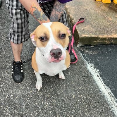 LuLu43332's profile picture.