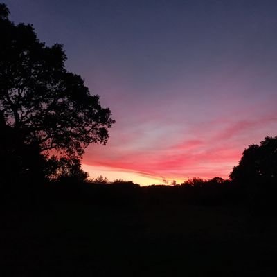 radio2it's profile picture. Banalmente I have a dream