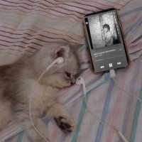 Eda (@edanurbaga) Twitter profile photo