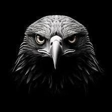 eagleKzz's profile picture. 