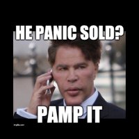 PAMP IT (@pampmemetoken) 's Twitter Profile