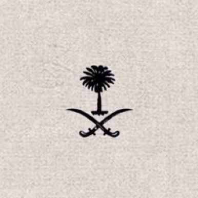 S_702r's profile picture. GEOP student @KFUPM | 24