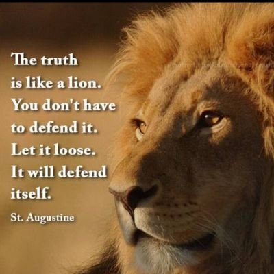 purplehairgma's profile picture. I'm a granny. That's what I do. I love Jesus, my family and my Country. I support President Donald J. Trump.
🚫 DM's
You will be blocked.